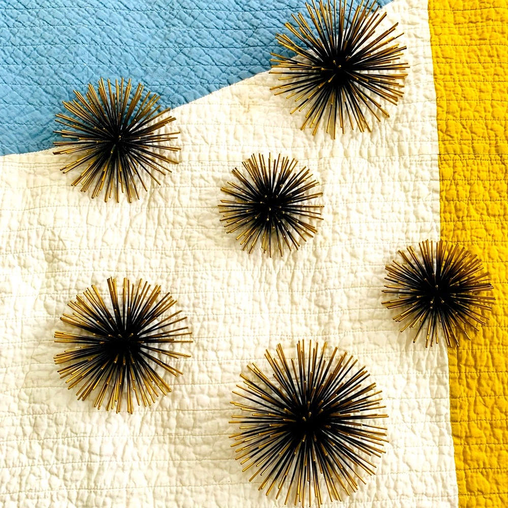 6 Starburst Sea Urchin Style Art